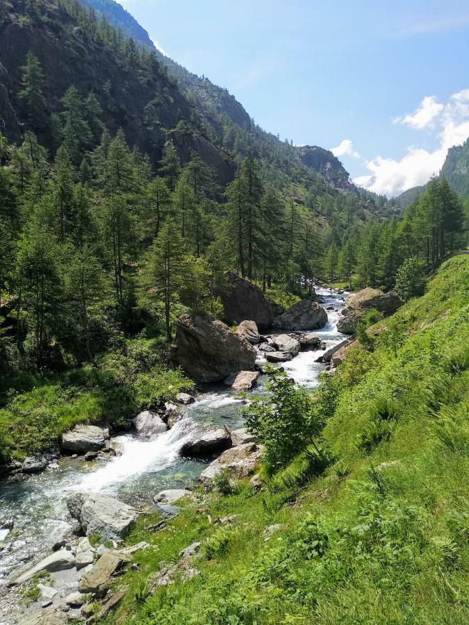 Chez Bonjour Villa Villar Pellice Dış mekan fotoğraf