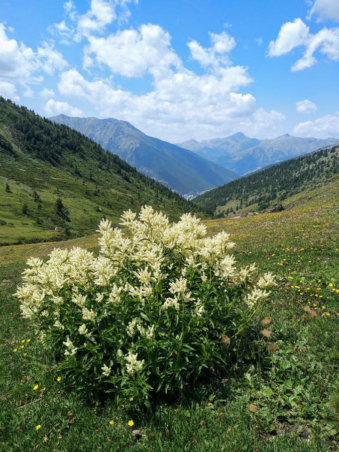 Chez Bonjour Villa Villar Pellice Dış mekan fotoğraf